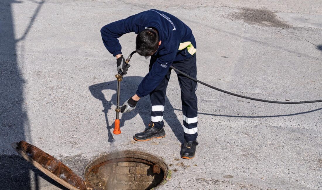 İzmir'de sivrisineğe karşı 254 bin üreme noktasında yıl boyunca ilaçlama