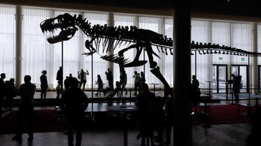 ABD’den 9 büyük sandıkla İsviçre’nin Zürih kentine getirilen “Trinity” adlı