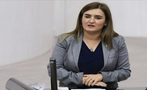 CHP İzmir Milletvekili Sevda Erdan Kılıç, küresel fuhuş şebekesi Epstein