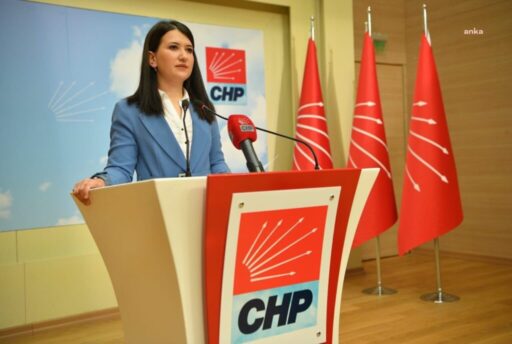 CHP GENEL BAŞKAN YARDIMCISI GÖKÇE GÖKÇEN: “VATANDAŞI TEHDİT EDEN, BANA
