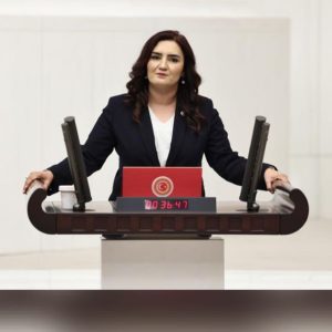 CHP İzmir Milletvekili Sevda Erdan Kılıç, Dokuz Eylül Üniversitesi Tıp