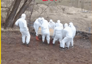 Erzurum’da kene ısırması sonrası tedavi gördüğü hastanede ölen 2 çocuk