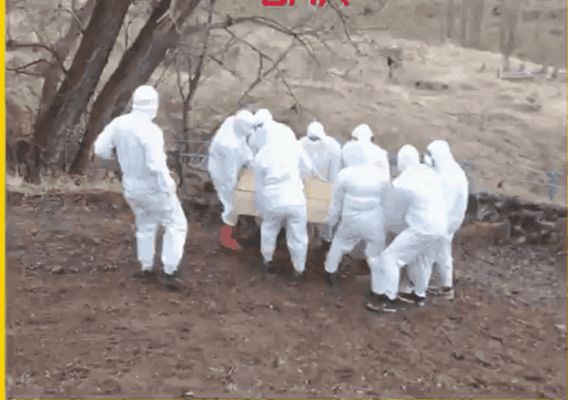 Erzurum’da kene ısırması sonrası tedavi gördüğü hastanede ölen 2 çocuk