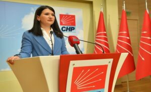 CHP Genel Başkan Yardımcısı ve İzmir Milletvekili Gökçe Gökçen, “Bizim
