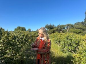 AK Parti İzmir Milletvekili Ceyda Bölünmez Çankırı coğrafi işaret tescil