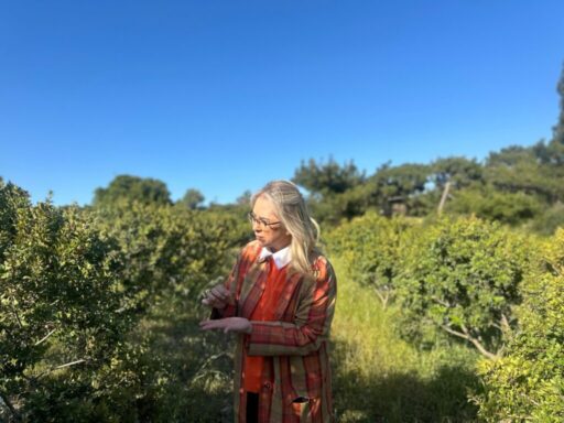 AK Parti İzmir Milletvekili Ceyda Bölünmez Çankırı coğrafi işaret tescil