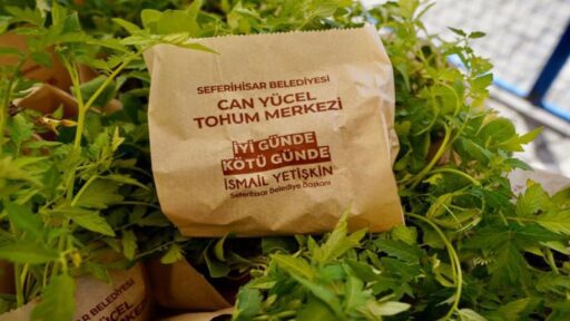 Kamuda uygulanacak tasarruf tedbirleri genelgesi, Seferihisar’ın 14 yıllık geleneğine engel