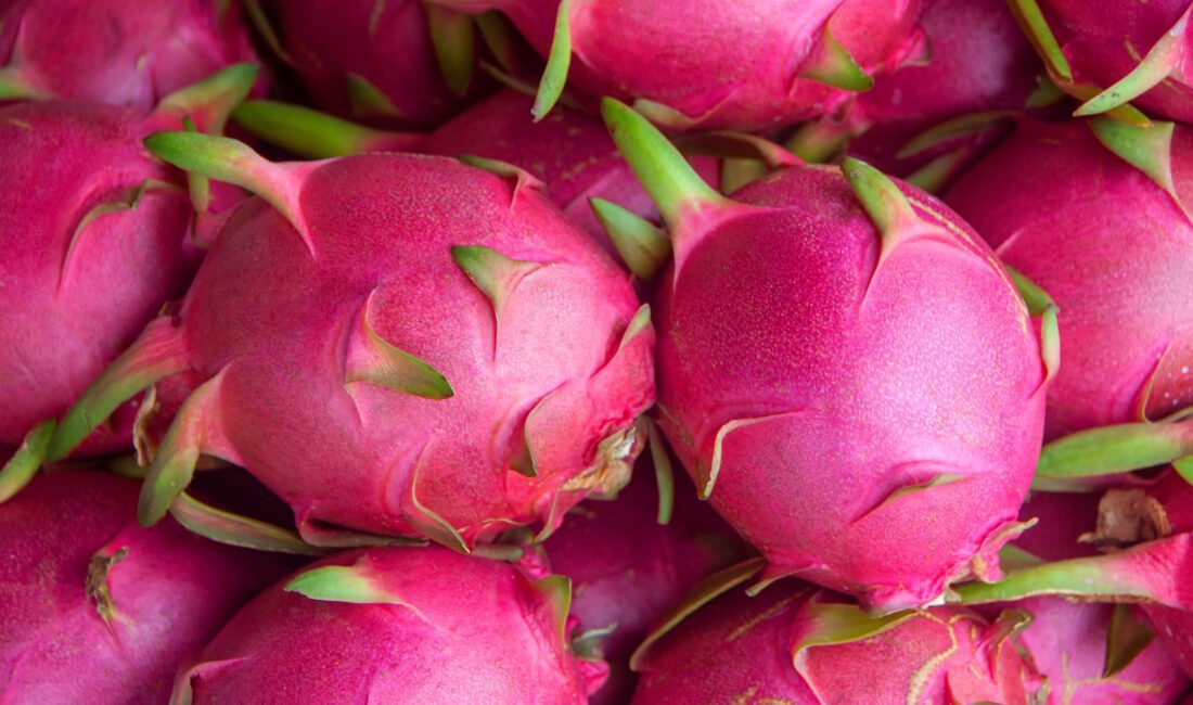 Türkiye, 2024 yılının ilk yarısında aralarında ananas, avokado, mango, pitaya