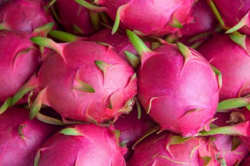 Türkiye, 2024 yılının ilk yarısında aralarında ananas, avokado, mango, pitaya