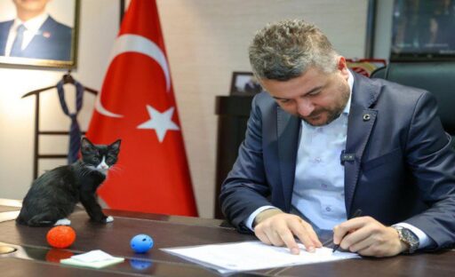 Buca Belediye Başkanı Görkem Duman, bugün Türkiye Büyük Millet Meclisi