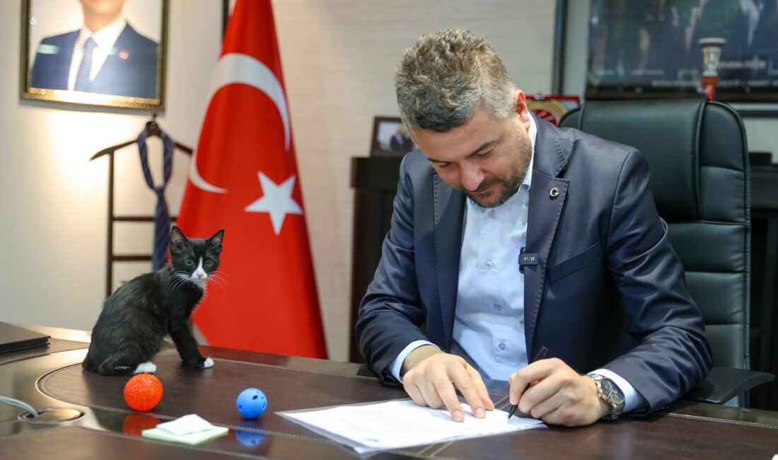 Buca Belediye Başkanı Görkem Duman, Türkiye Büyük Millet Meclisine (TBMM)