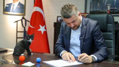 Buca Belediye Başkanı Görkem Duman, Türkiye Büyük Millet Meclisine (TBMM)