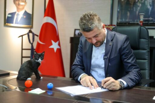 Buca Belediye Başkanı Görkem Duman, Türkiye Büyük Millet Meclisine (TBMM)