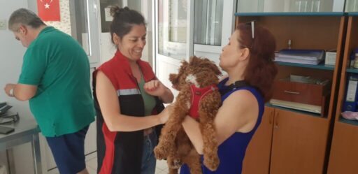 Kimliklendirilen Ev Hayvanı Sayısı İzmir’de 212.200’e ulaştı Tarım ve Orman Bakanlığımız tarafından yürütülen ev hayvanlarının kimliklendirilmesi çalışmasıkapsamında;