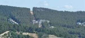 Nefes orman Çekmeköy sitesi ağaçların kesilip orman'ın tam ortasına yapılmış