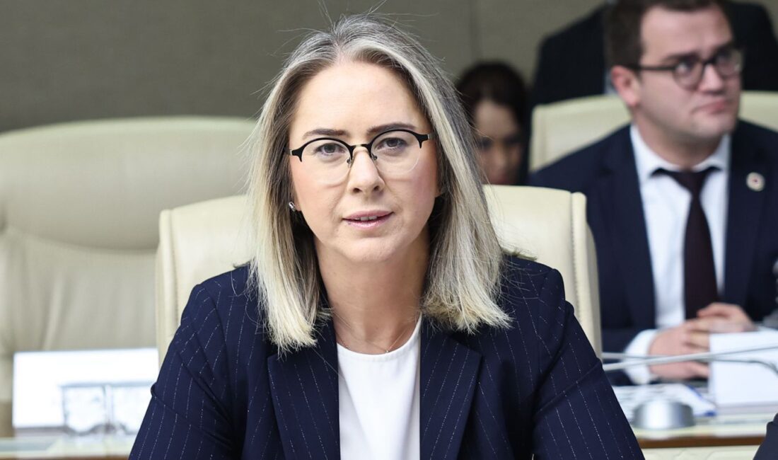 “Farklı siyasi duruşlara, ideolojik yatkınlıklara, yaşam tarzlarına ve etnik kökenlere