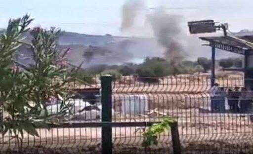 İzmir'in Foça ilçe merkezi yakınında saat 14.15 sularında orman yangını