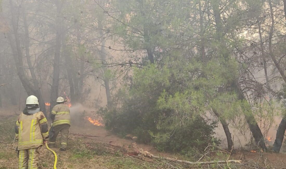İzmir Büyükşehir Belediyesi İtfaiye ekipleri ile İzmir Orman Bölge Müdürlüğü