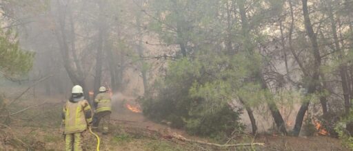 İzmir Büyükşehir Belediyesi İtfaiye ekipleri ile İzmir Orman Bölge Müdürlüğü