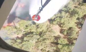 İzmir’in Bornova ilçesinde orman yangın çıktı. Alevlere, havadan ve karadan