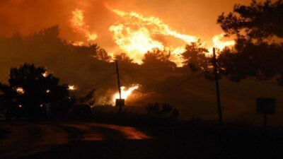 TÜRKİYE Bilimler Akademisi (TÜBA) Çevre, Biyoçeşitlilik ve İklim Değişikliği Çalışma