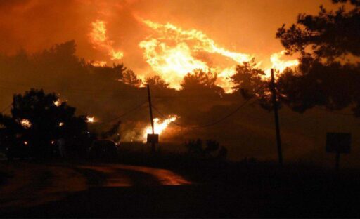 TÜRKİYE Bilimler Akademisi (TÜBA) Çevre, Biyoçeşitlilik ve İklim Değişikliği Çalışma