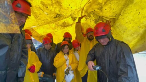 Kemalpaşa Belediyesi bünyesinde 2023 yılında kurulan Afet İşleri Müdürlüğü tarafından,