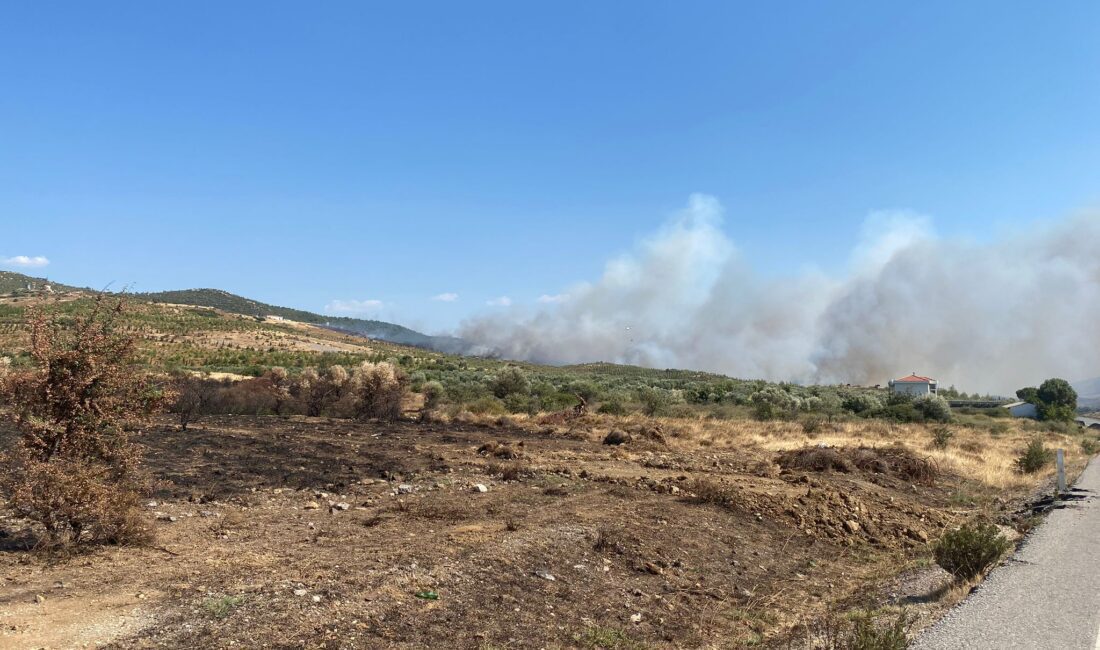 Yenifoça Jandarma Komando Teröristle Mücadele Okul Komutanlığı bölgesi yanıyor! Köfteci Yusuf #kaset #videoyu Ahlaksız #istifarteistifa yala Sera kadıgil #thyao