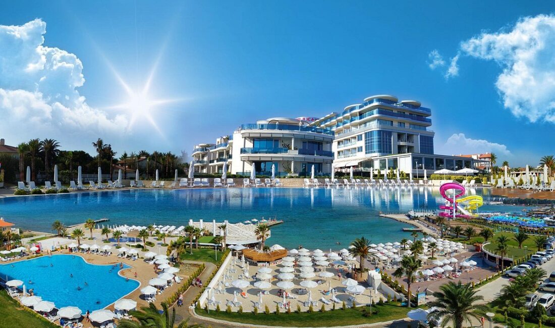 Ege Turistik İşletmeler ve Konaklamalar Birliği(ETİK) Başkanı, Türkiye Otelciler Federasyonu