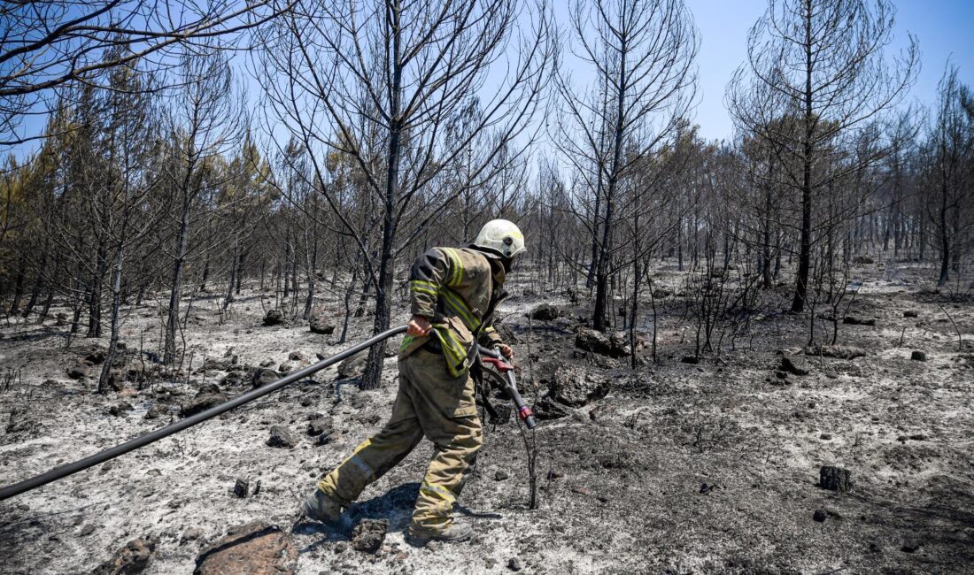 İzmir İtfaiyesi orman yangınlarına karşı 7 gün 24 saat nöbette İzmir Büyükşehir Belediyesi itfaiye ekipleri, sık sık çıkan orman yangınları