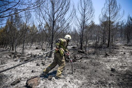 İzmir Büyükşehir Belediyesi itfaiye ekipleri, sık sık çıkan orman yangınları