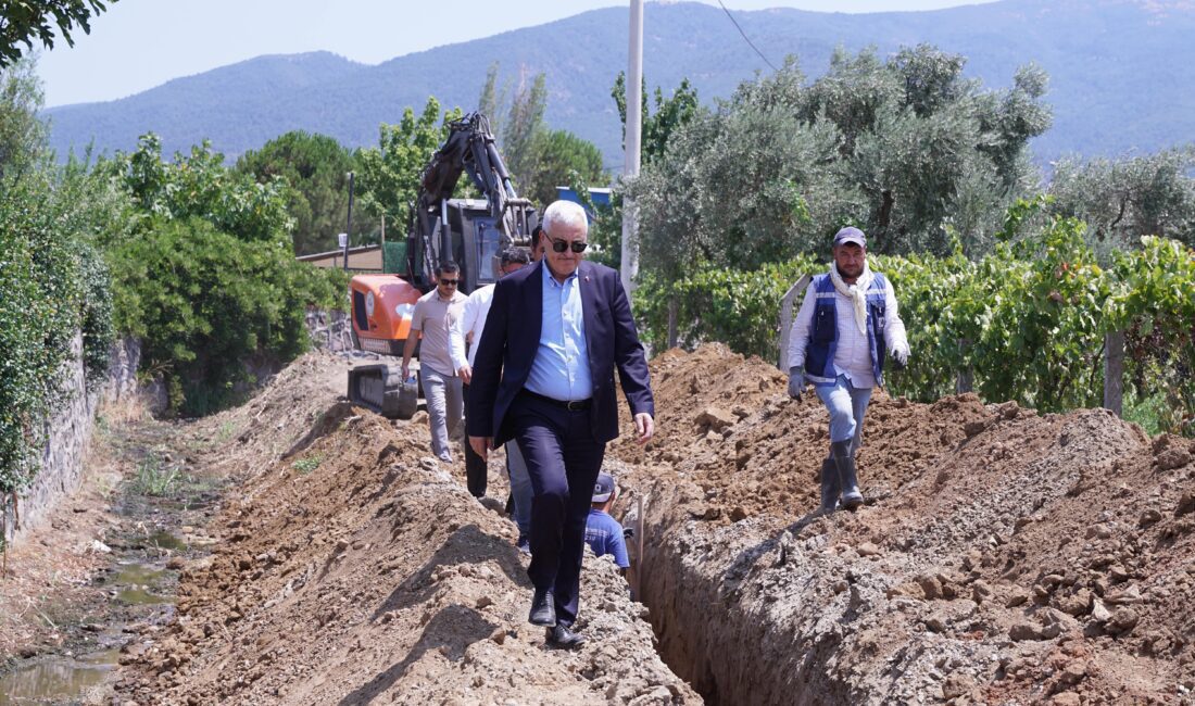 Kemalpaşa Belediye Başkanı Mehmet Türkmen’in girişimleri sonrası Armutlu Ayderesi ve