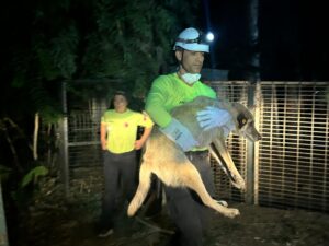 Büyükşehir ekipleri can dostları yangından korudu İzmir Büyükşehir Belediyesi Veteriner