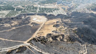 İzmir Büyükşehir Belediyesi, Yamanlar Dağı’nda yaşanan yangın sonrası zarar gören