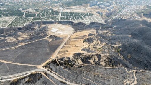 İzmir Büyükşehir Belediyesi, Yamanlar Dağı’nda yaşanan yangın sonrası zarar gören