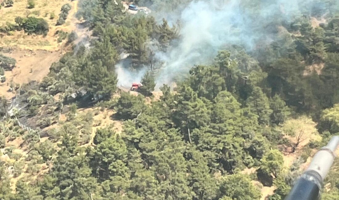 İzmir Büyükşehir Belediyesi İtfaiyesi, Kemalpaşa ilçesinde çıkan orman yangınına müdahale