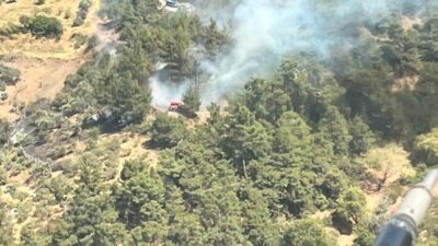 İzmir Büyükşehir Belediyesi İtfaiyesi, Kemalpaşa ilçesinde çıkan orman yangınına müdahale