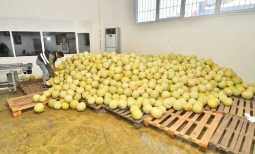 İzmir Büyükşehir Belediyesi, hem çiftçilere hem de ihtiyaç sahibi vatandaşlara