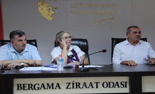 AK Parti İzmir Milletvekili Ceyda Bölünmez Çankırı'nın Bergama'da mahalle muhtarları