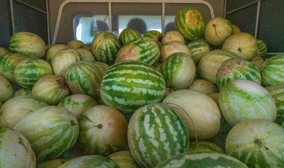 İzmir’in Tire ilçesinde 25 yıldır çiftçilik yapan ve aylarca emek