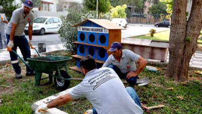 Bayraklı Belediyesi tarafından sokak hayvanlarının yaşam koşullarını iyileştirmek, barınma ve