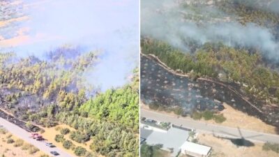 İzmir'in Bergama ilçesindeki ormanda yangın çıktı. Ekipler, alevlere havadan ve