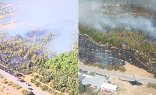 İzmir'in Bergama ilçesindeki ormanda yangın çıktı. Ekipler, alevlere havadan ve