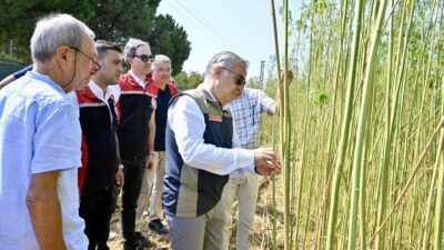İzmir’in Aliağa ilçesine bağlı Helvacı Mahallesi’nde, ilk kez izinli ve