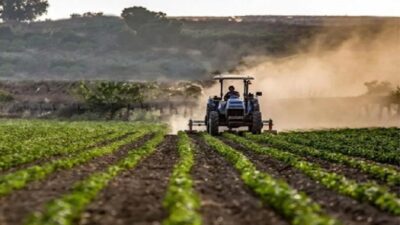 2025-2027 dönemi için açıklanan yeni tarım destek programına göre, çiftçilere