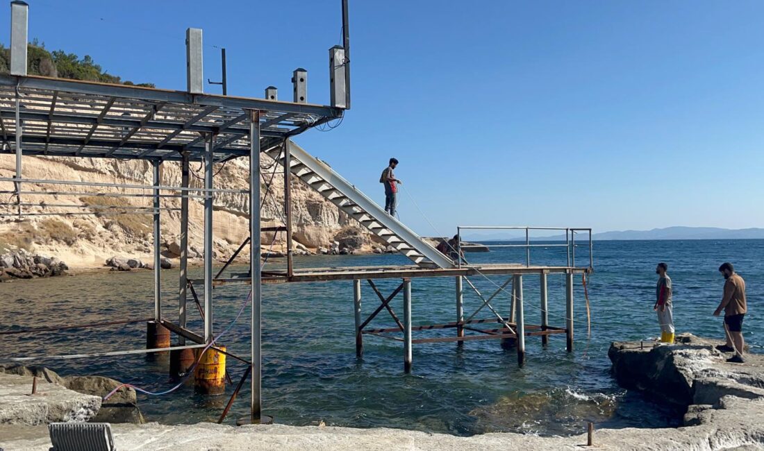 İzmir Büyükşehir Belediyesi, Mordoğan'daki Ayıbalığı Koyu’nda Akdeniz foklarının yaşam ve