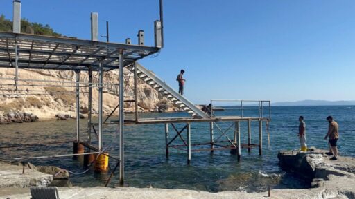 İzmir Büyükşehir Belediyesi, Mordoğan'daki Ayıbalığı Koyu’nda Akdeniz foklarının yaşam ve