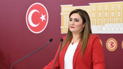 CHP İzmir Milletvekili ve TBMM Anayasa Komisyonu Üyesi Sevda Erdal