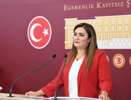 CHP İzmir Milletvekili ve TBMM Anayasa Komisyonu Üyesi Sevda Erdal