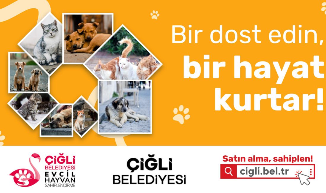 Çiğli Belediyesi tarafından, can dostları yeni yuvalarına kavuşturmak amacıyla Evcil